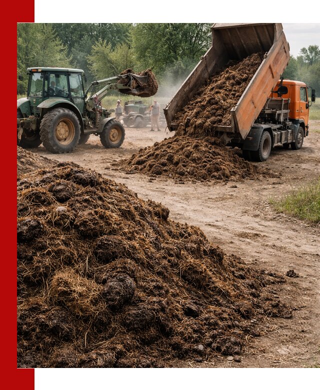 Доставка навоза самосвалами в Элисте для сельхозпотребностей